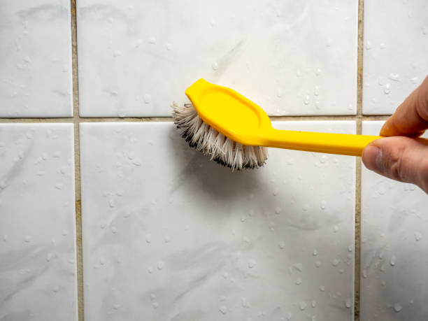 Mold Testing and Removal in Six Mile, SC