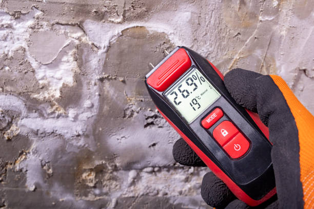 Best Mold Removal Company Near Me  in Six Mile, SC