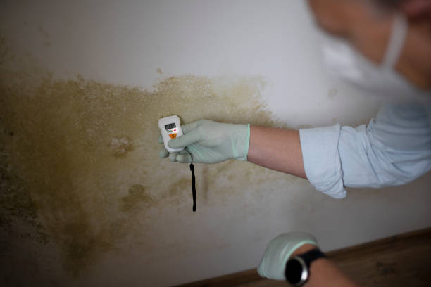 Best Mold Testing  in Six Mile, SC