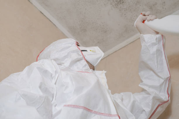 Best Mold Testing and Removal  in Six Mile, SC